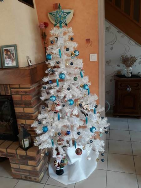 mon beau sapin de noël Forum jardinage