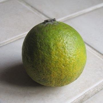 Limon vert