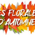 31èmes Florales du PETR du Pays du Ruffécois (MANSLE-LES-FONTAINES, 16)