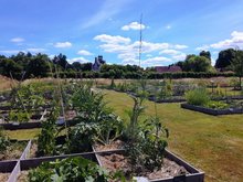 Bienvenue dans mon jardin au naturel