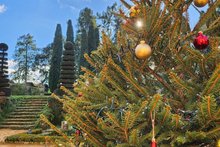 Vacances de Noël, les lutins du Père Noël à Eyrignac