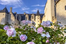 Fête des Roses au Château du Rivau