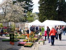 31e édition du Marché aux fleurs et à la décoration de jardin