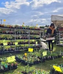 Festival des plantes nouvelles