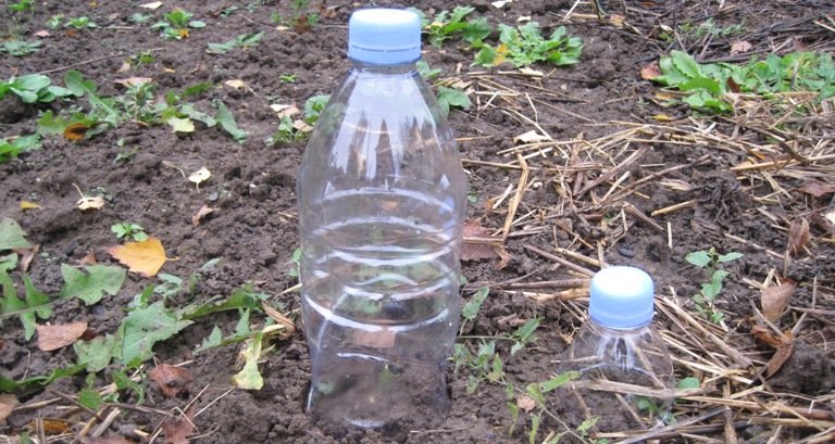 Que faire avec des bouteilles d'eau en plastique au jardin ?