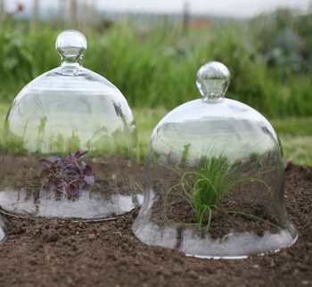 Cloche en verre pour jardin – CULTIIVE